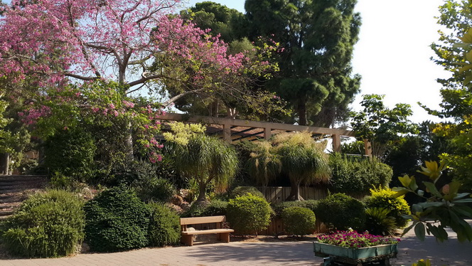 מועדון מועדון