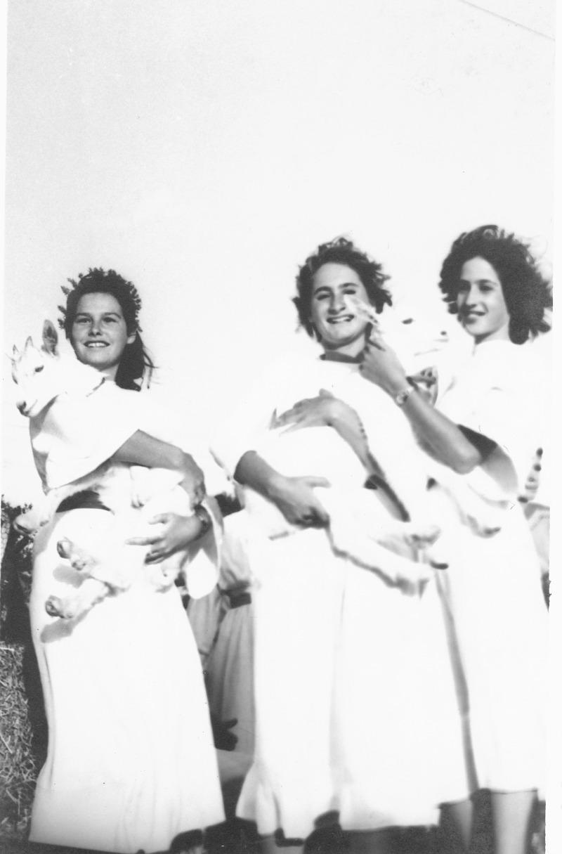 שבועות שבועות