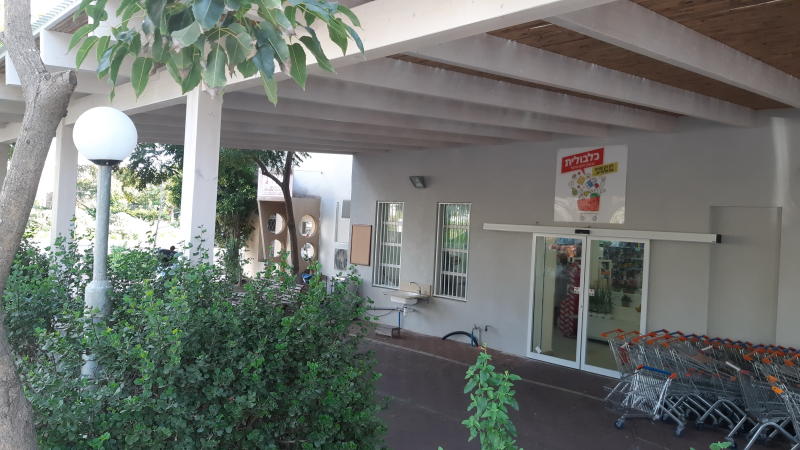 כלבולית כניסה כלבולית כניסה